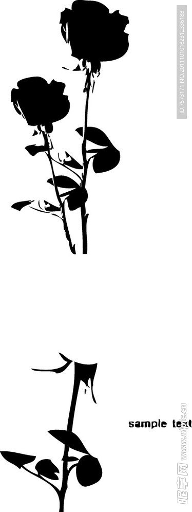 玫瑰花