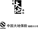 中国大地保险