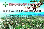 农业综合开发油茶项目