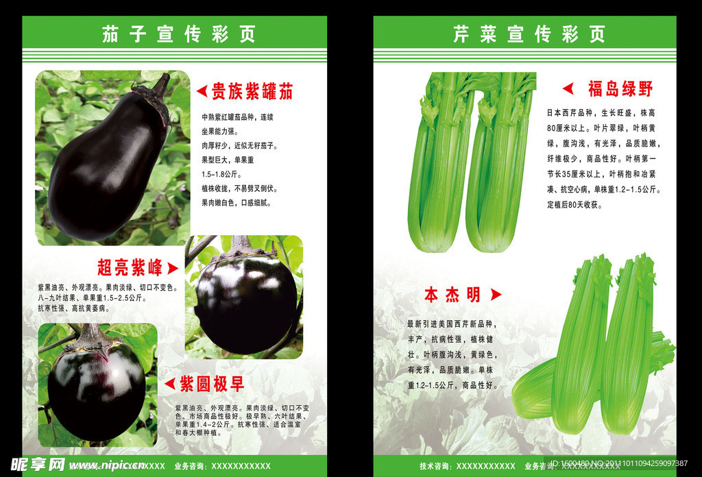 蔬菜宣传彩页