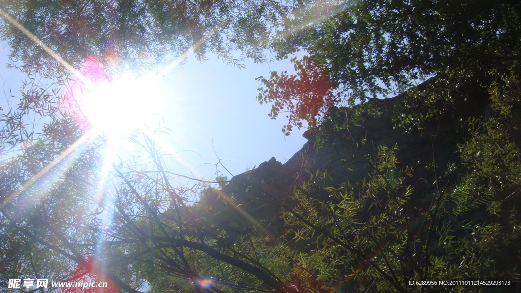 夏日阳光