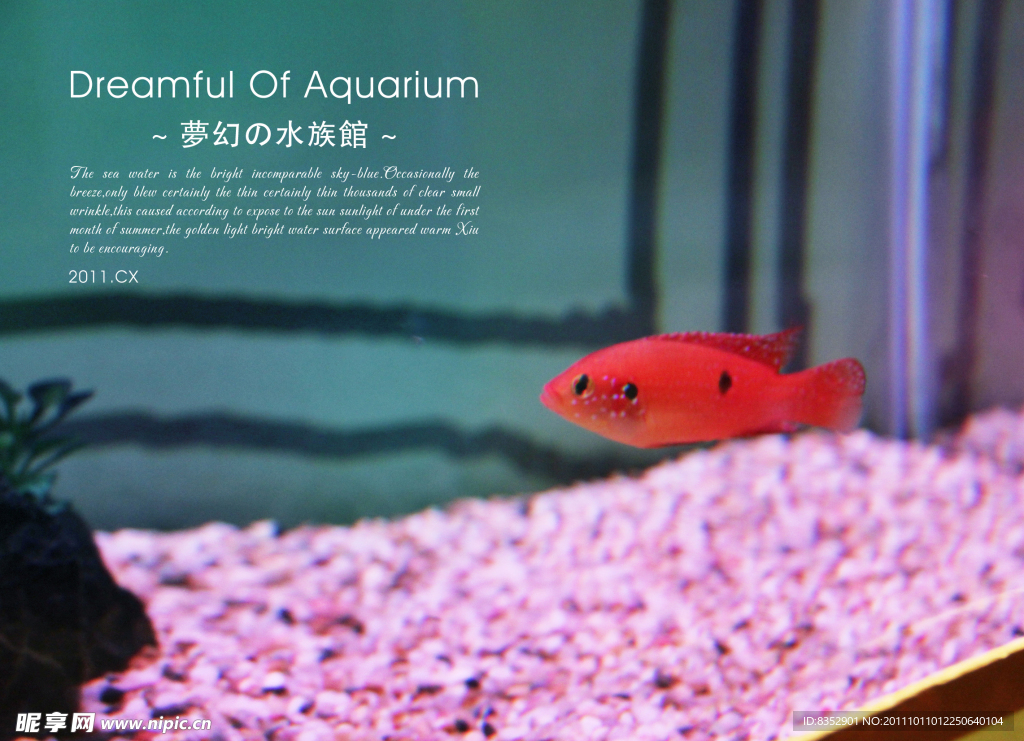 长风公园水族馆游记