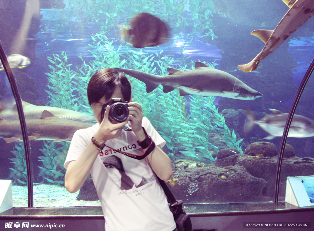 长风公园水族馆游记
