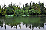 绿色西湖