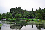 绿色西湖