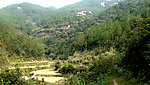 鄂东山谷
