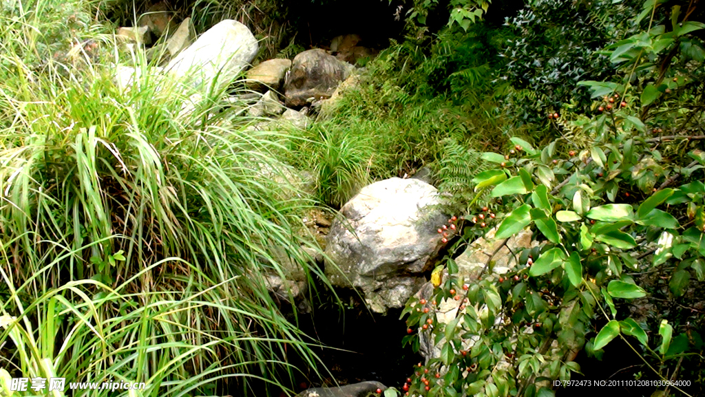 山中溪涧