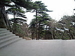 自然风景