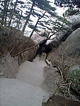自然风景