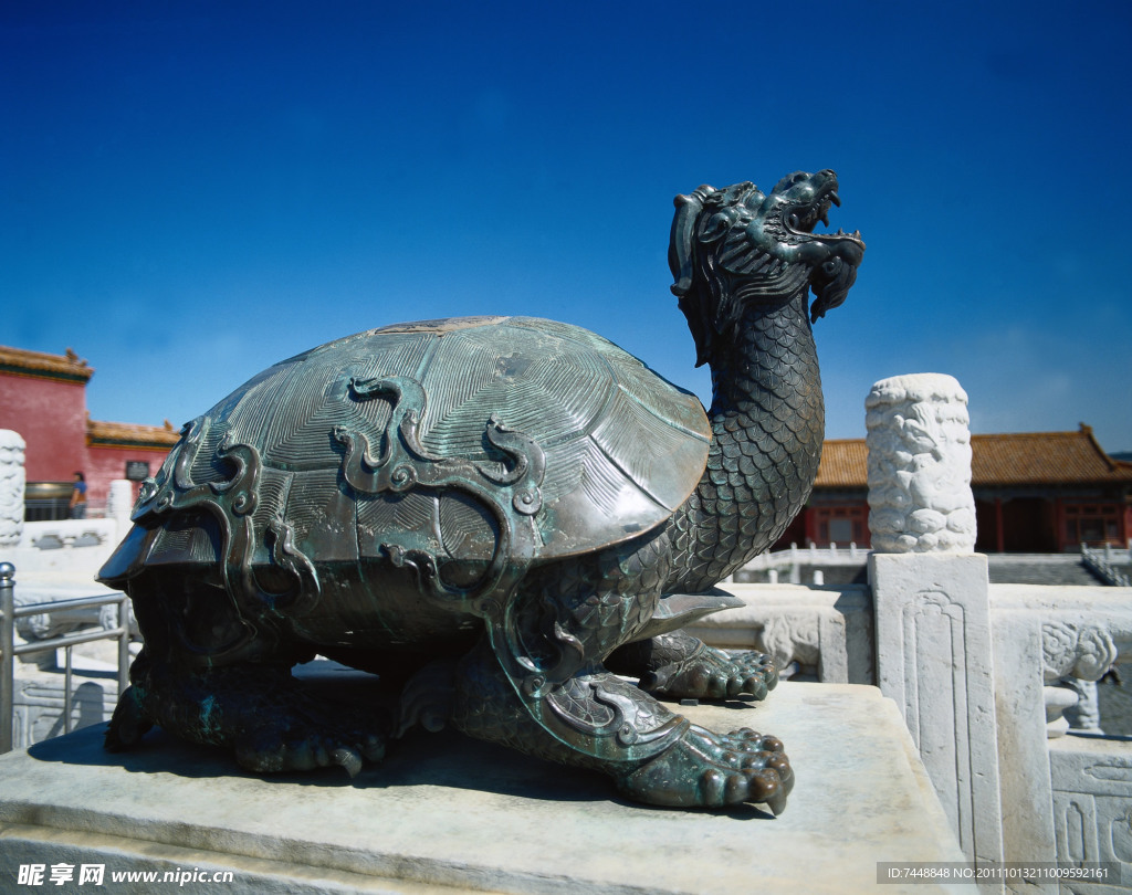 艺术石龟雕刻