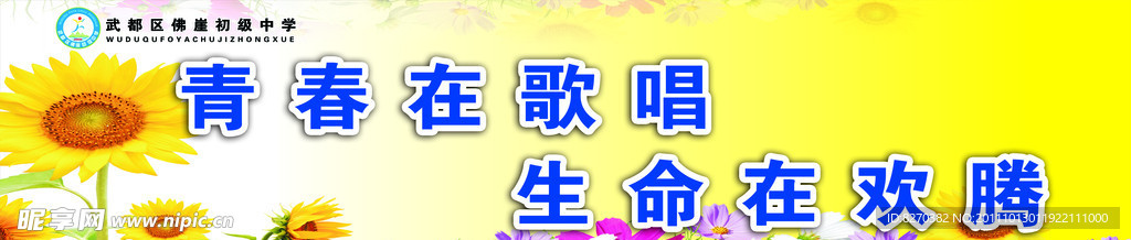 体育展板