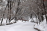 山庄雪景