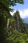 自然风景