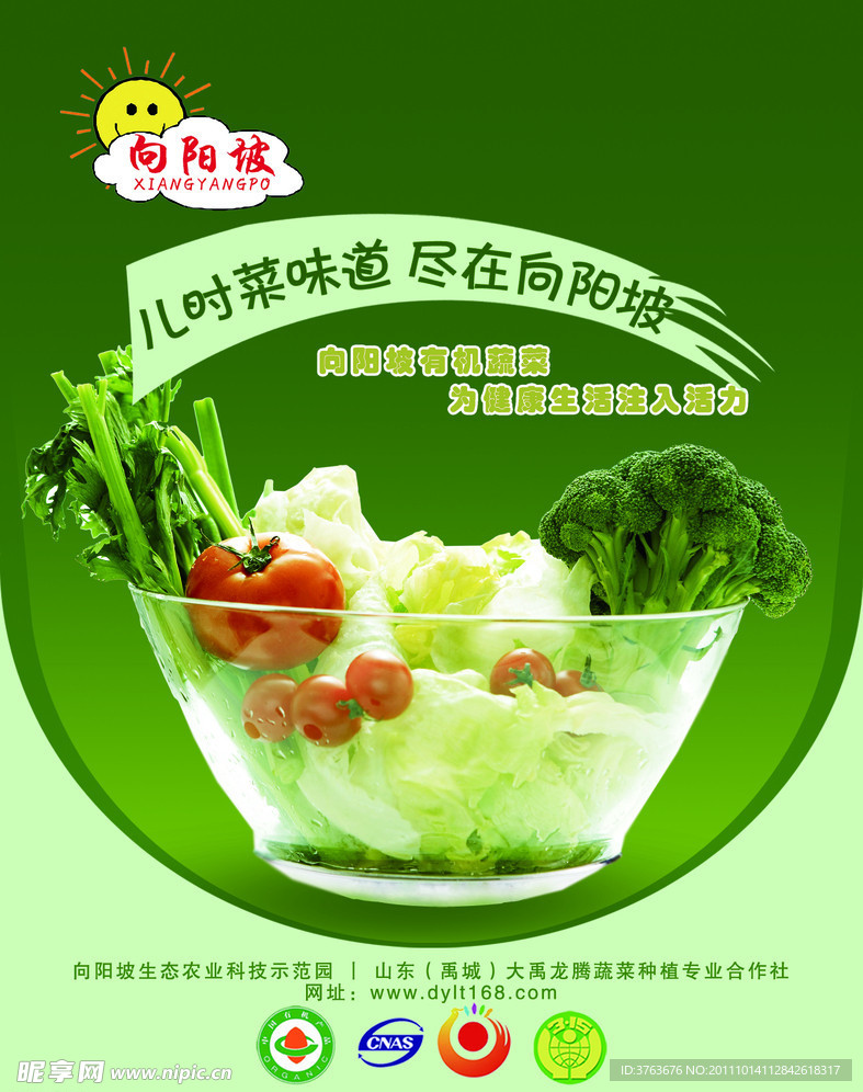 蔬菜宣传海报
