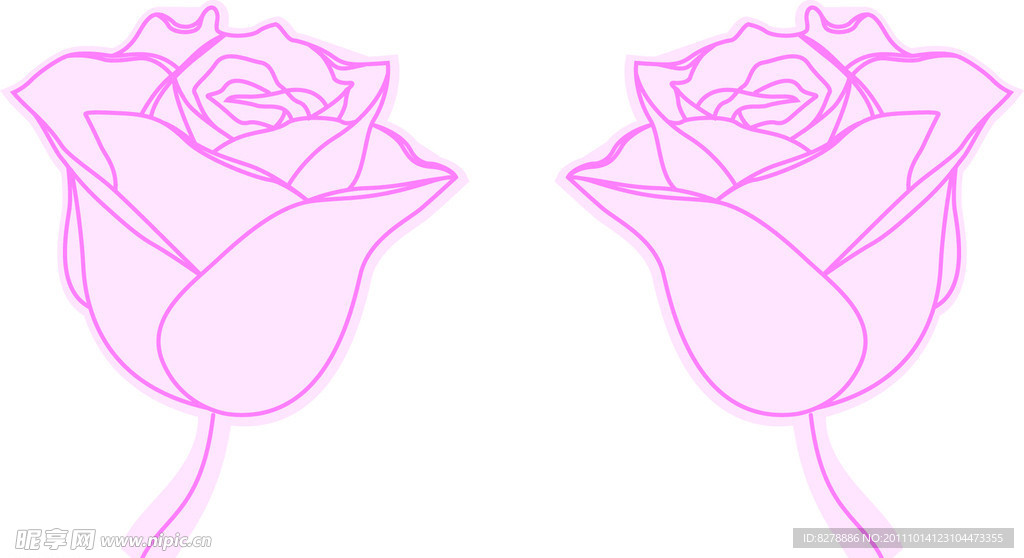 玫瑰花
