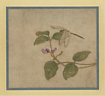 蜻蜓图