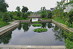 杭州西溪湿地