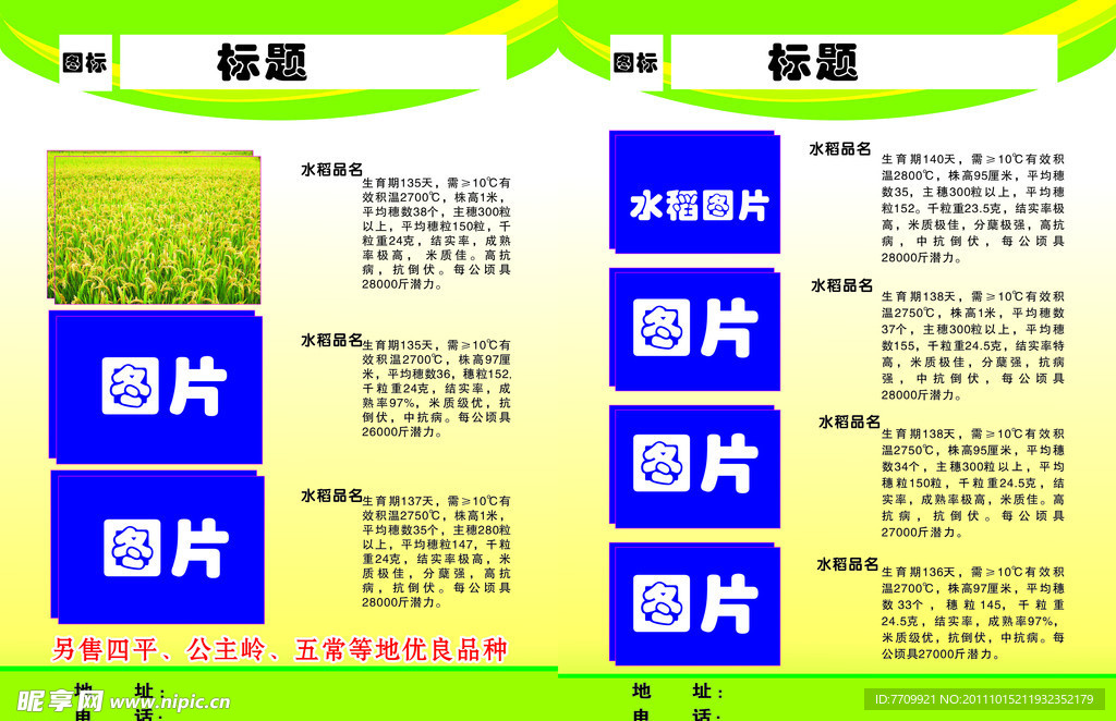 水稻