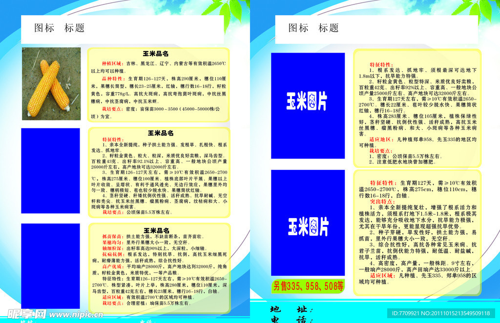 玉米传单