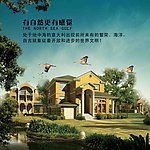 房地产广告