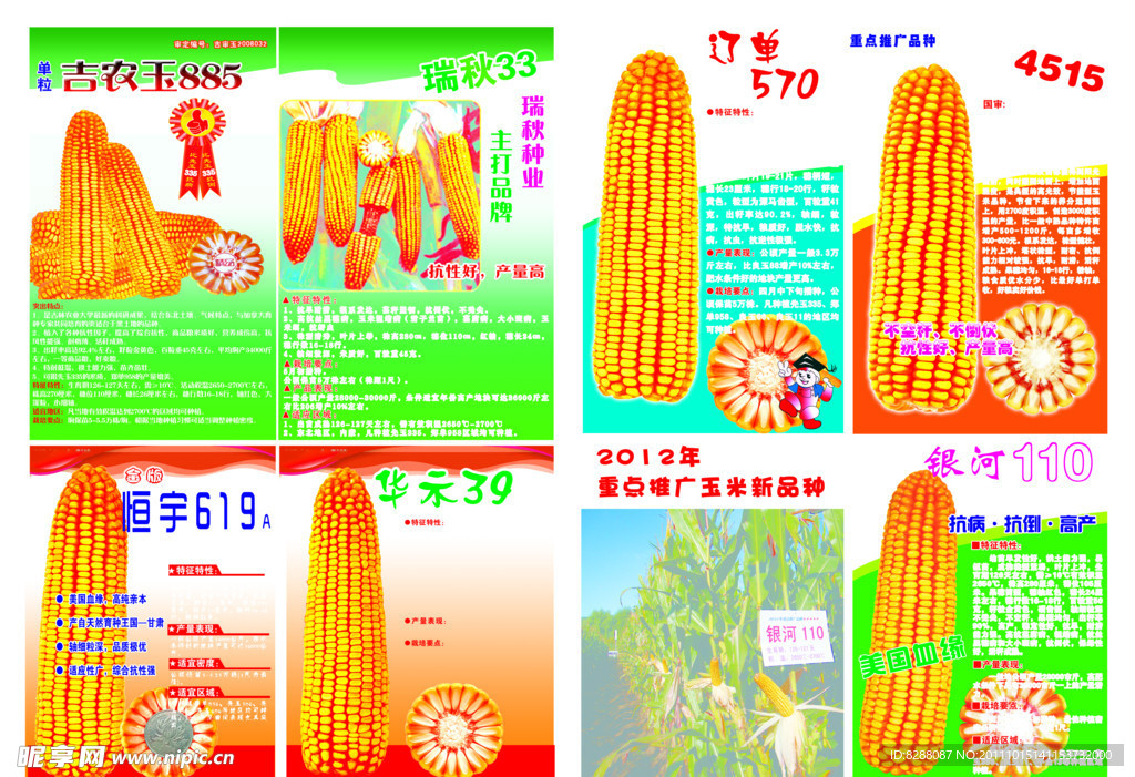 玉米报纸宣传单