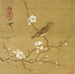梅花绣眼图
