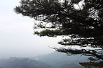泰山风景