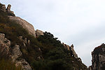泰山风景