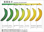 香蕉色卡正面