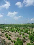 公园参考图片