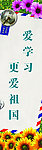 爱学习更爱祖国