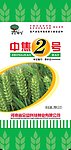 种子袋包装