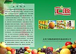 汇源果汁彩页设计 正面