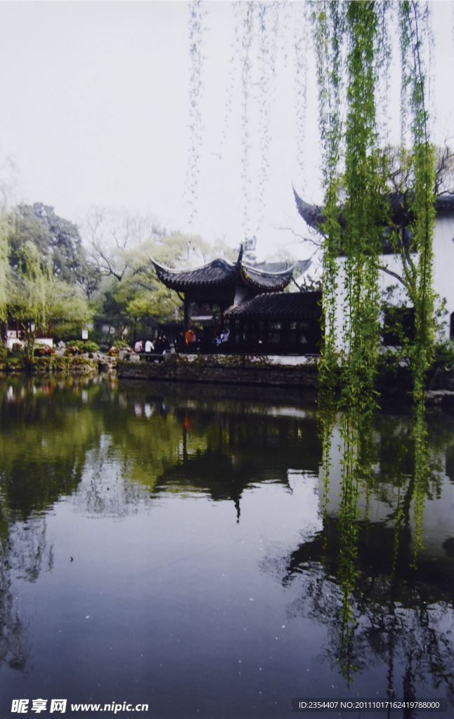 亭边垂柳(非高清)