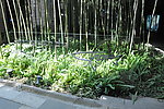 鲨鱼馆