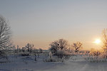 雪地美景