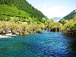 森林小河
