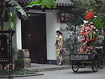 酒家美女