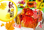 大闸蟹海报