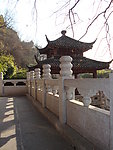 黄鹤楼公园