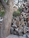 中山公园假山