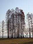 东湖风景
