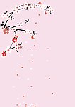日本樱花 樱花树 矢量