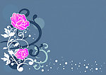 玫瑰背景图