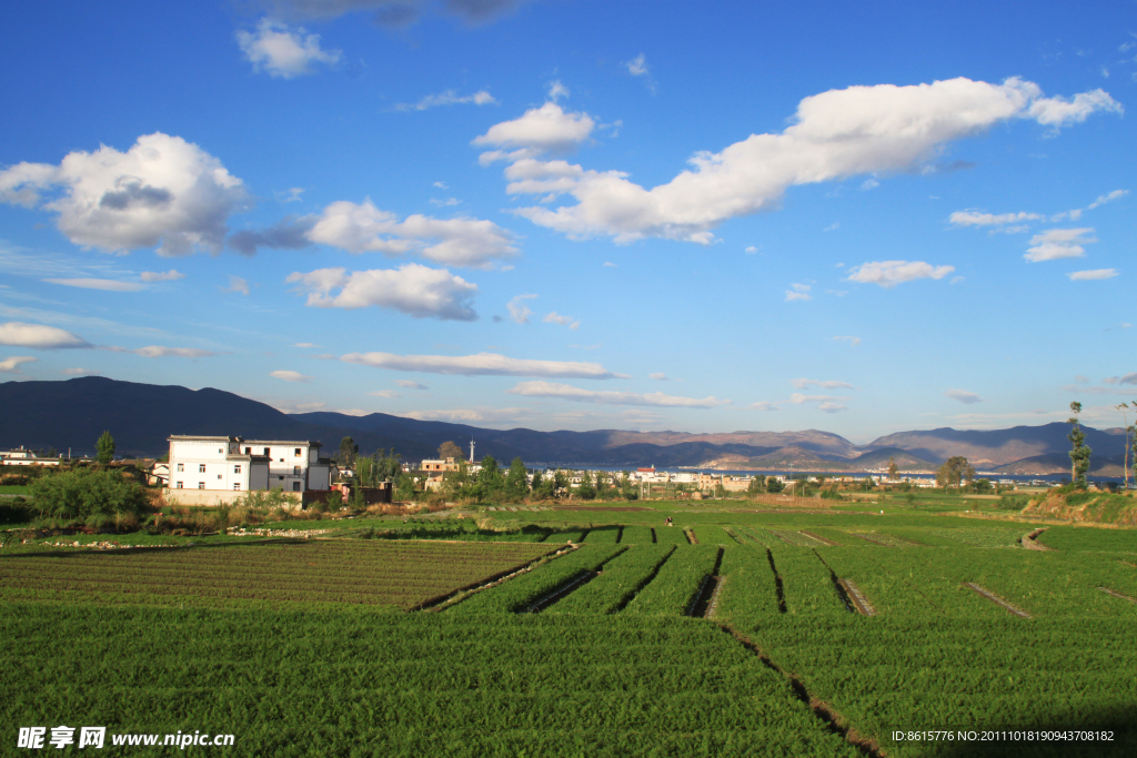 乡村风景