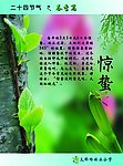 二十四节气展板