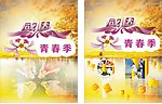 感恩青春季