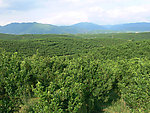 田野山脉