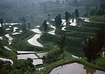 田园风光