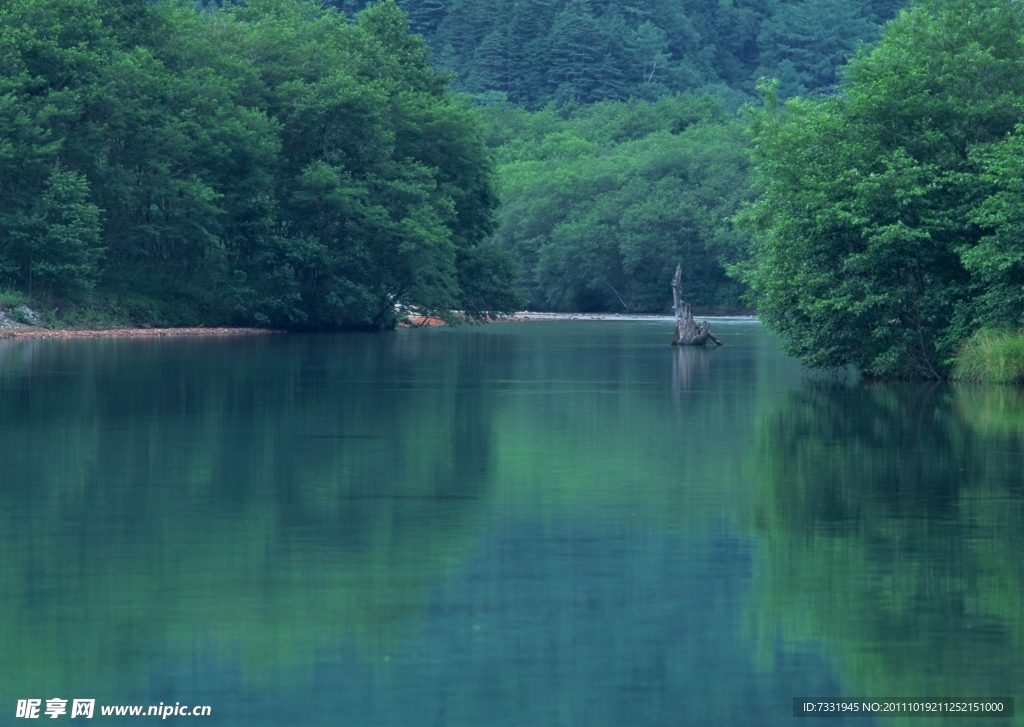 绿树湖泊